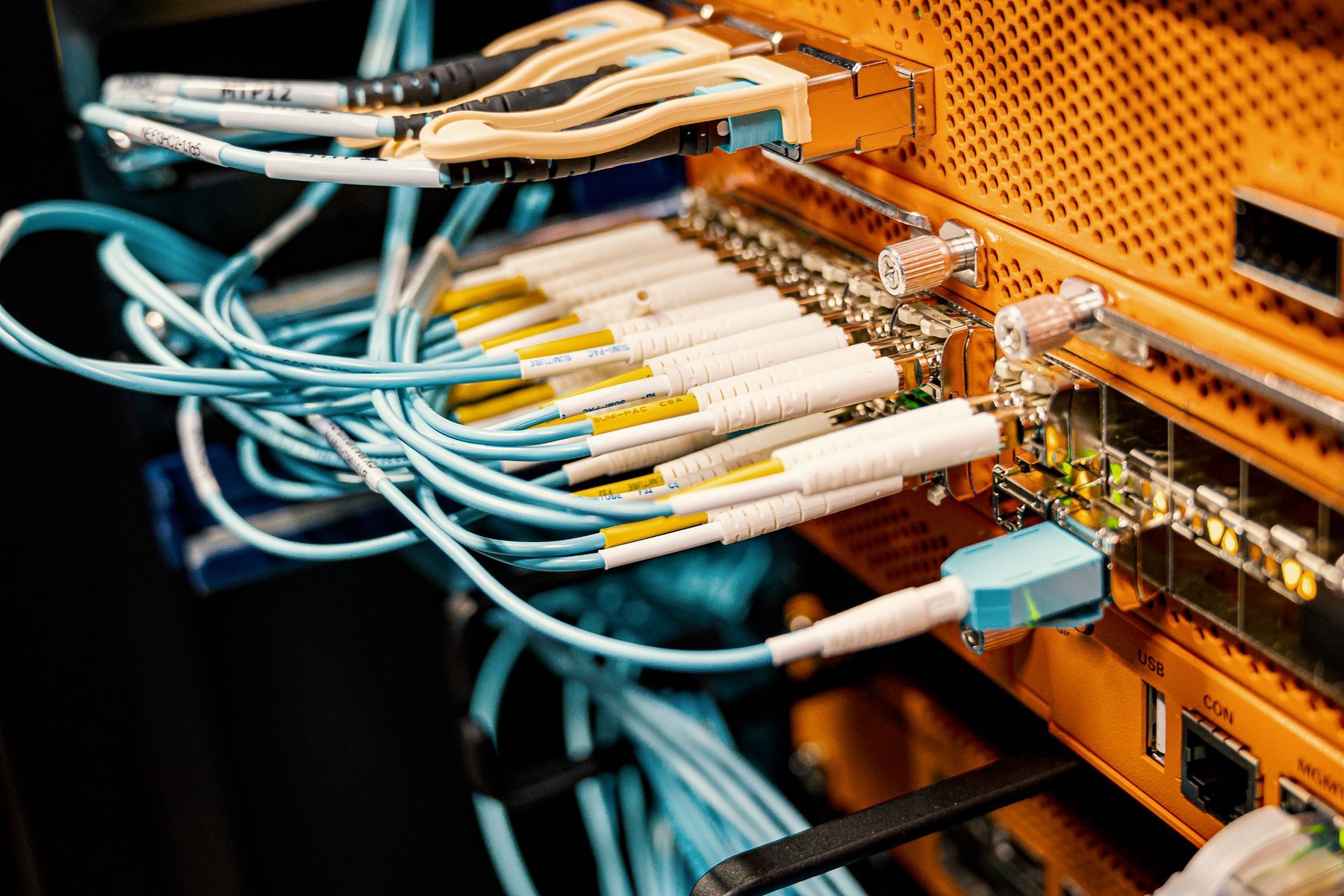 Fiber optic patch cords terminated on a fiber distribution panel