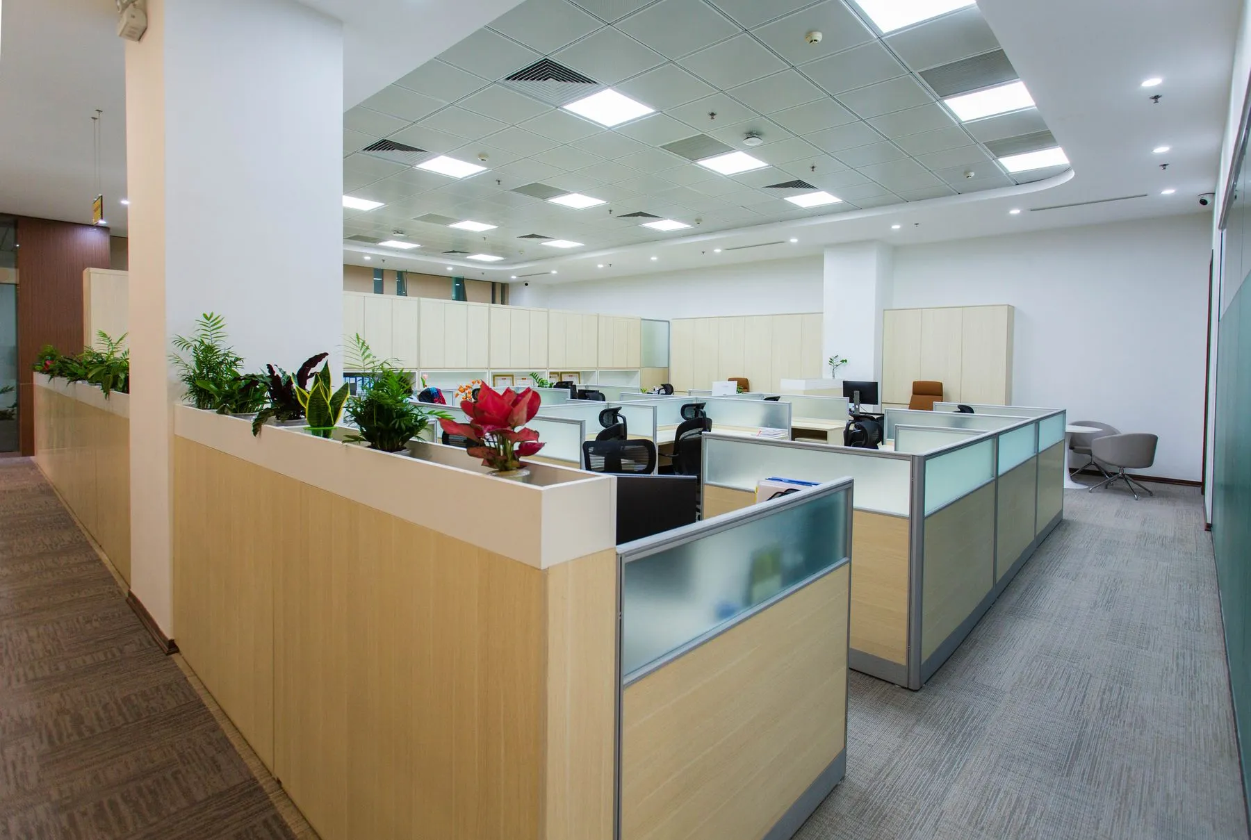 Open-plan office with workstations and plants