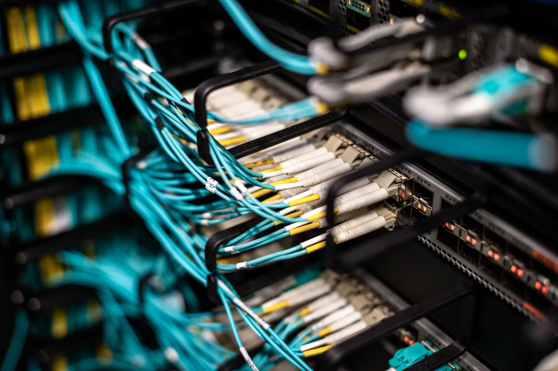 Aqua fiber patch cords terminated on a fiber distribution panel in a rack