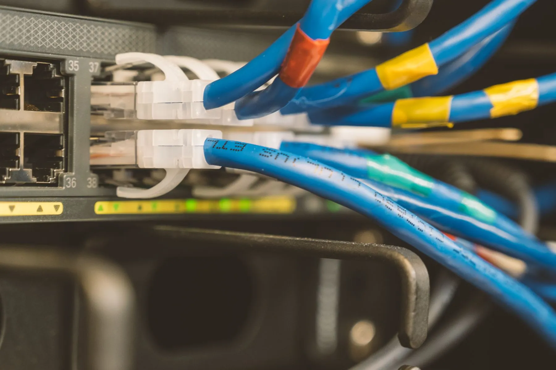 Blue category cables terminated on a rack-mounted network switch